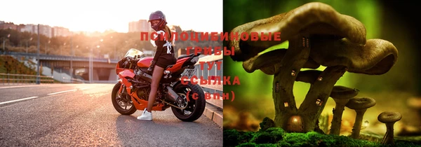 метадон Алзамай